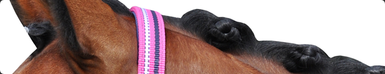 Headcollars